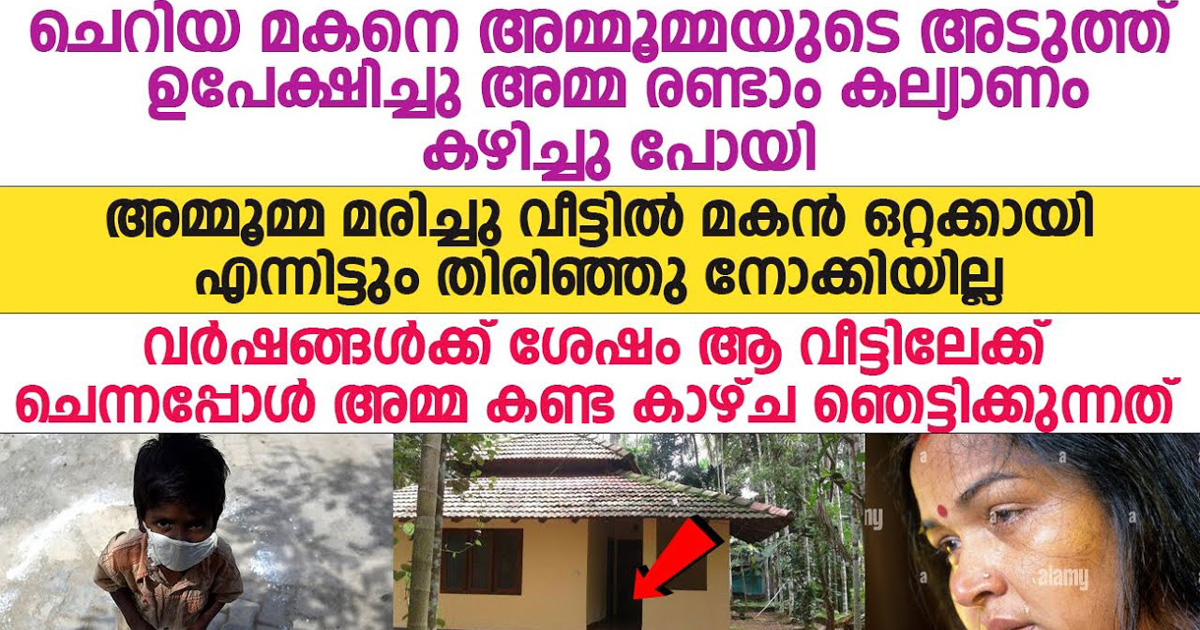 അമ്മ രണ്ടാമത് വിവാഹം കഴിച്ചപ്പോൾ ഒറ്റയ്ക്കായി പോയ കുഞ്ഞിന്റെ ജീവിതത്തിൽ സംഭവിച്ചത്. കണ്ണു നനയാതെ ഇത് കാണാൻ സാധിക്കില്ല.