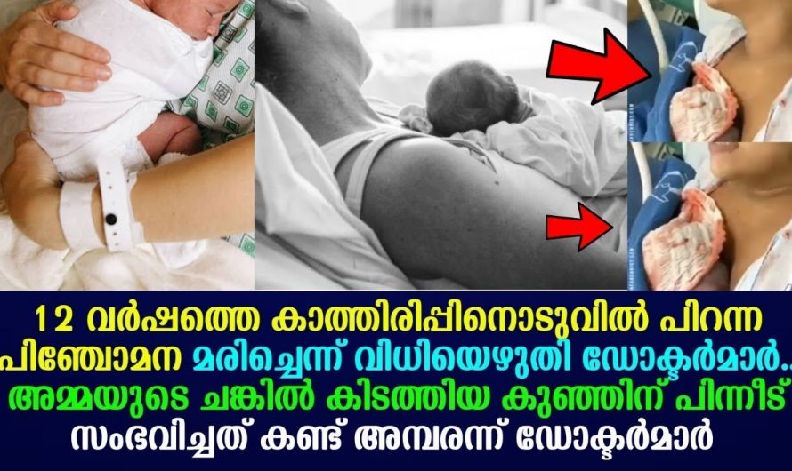 12 വർഷത്തെ കാത്തിരിപ്പിന്റെ ഒടുവിൽ കിട്ടിയ കുഞ്ഞിനെ മരണത്തിൽ നിന്നും വീണ്ടെടുത്ത് ഒരമ്മ. സംഭവിച്ചത് കണ്ടോ.