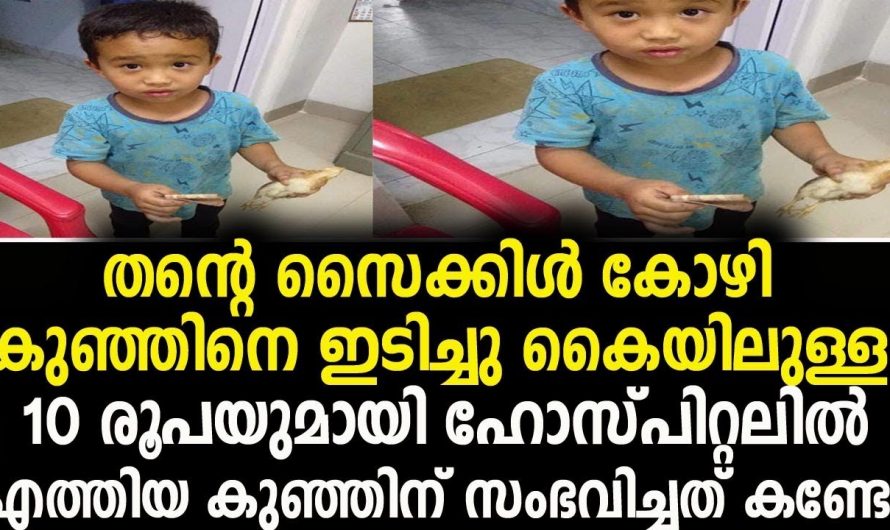 തന്റെ സൈക്കിൾ കയറിയിറങ്ങി മരിക്കാറായ  കോഴിക്കുഞ്ഞിന്റെ ജീവരക്ഷിക്കാൻ ശ്രമിച്ച കുഞ്ഞാണ് ഇപ്പോൾ സോഷ്യൽ മീഡിയയിൽ താരം.