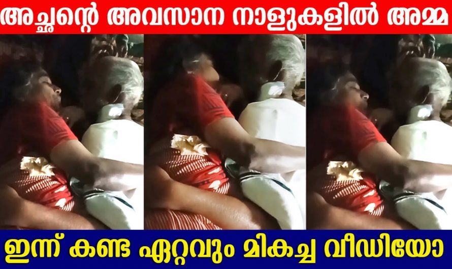 അവസാന നാളുകളിൽ പ്രിയപ്പെട്ടവനെ കെട്ടിപ്പിടിച്ച് പ്രിയപ്പെട്ട പാട്ടുകൾ പാടിക്കൊടുത്ത് അമ്മ. ഈ സ്നേഹം കണ്ടാൽ ആരുടെയും കണ്ണ് നിറഞ്ഞു പോകും.