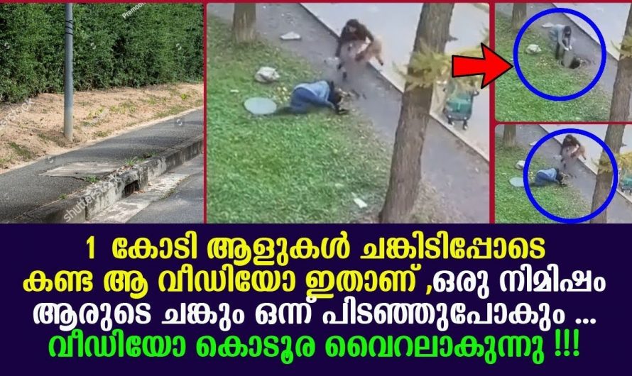 സ്വന്തം ജീവൻ പോയാലും കുഴപ്പമില്ലാതെ മകൻ സുരക്ഷിതമായി ഇരുന്നാൽ മതി ആ അമ്മയ്ക്ക്. മകന്റെ ജീവൻ രക്ഷിക്കാൻ അമ്മ ചെയ്തത് കണ്ടോ.