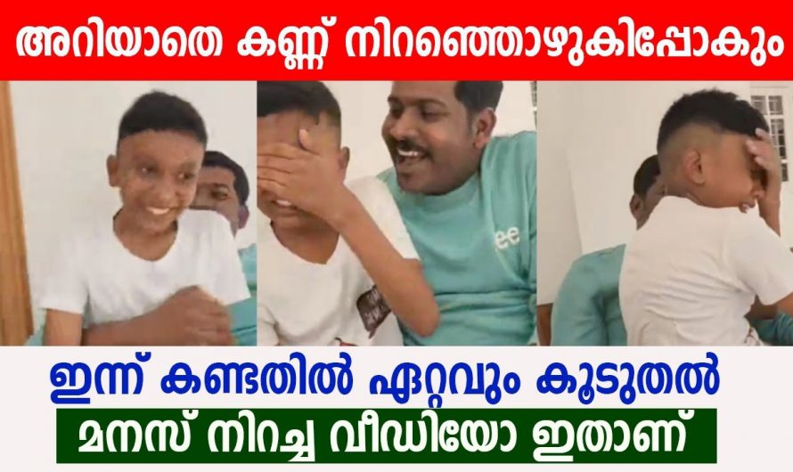 എട്ടു വർഷങ്ങൾക്കു ശേഷം അപ്രതീക്ഷിതമായി തന്റെ ചേട്ടനെ കണ്ട അനിയന്റെ സന്തോഷം കണ്ടോ.