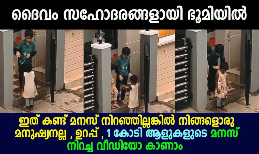 ഇത് ഞങ്ങൾ നിനക്ക് തരുന്ന ഒരു കുഞ്ഞു സമ്മാനം. ഇത് കണ്ട് മനസ്സ് നിറഞ്ഞില്ലെങ്കിൽ നിങ്ങൾ ഒരു മനുഷ്യനല്ല.