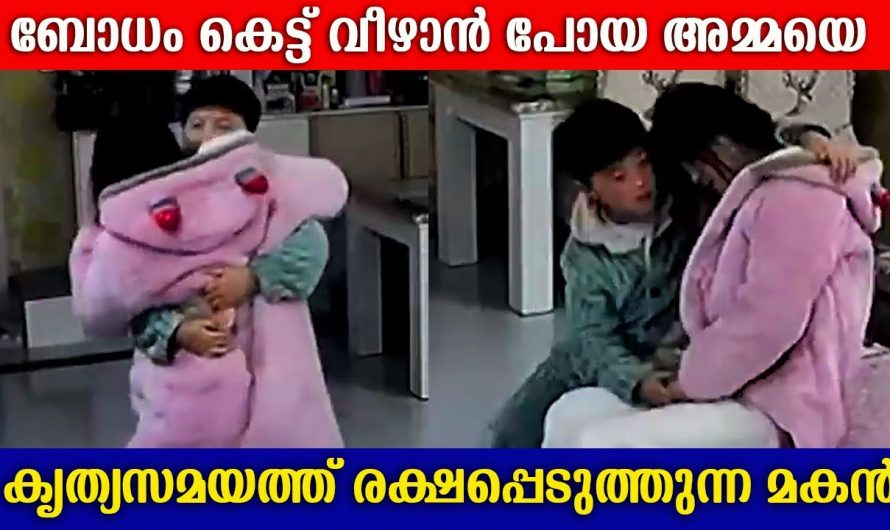 സുഖമില്ലാതെ നിലത്തേക്ക് ബോധം കെട്ട് വിടാൻ പോയ അമ്മയെ കൃത്യസമയത്ത് രക്ഷിച്ച മകൻ. ഇവനാണ് ഇപ്പോൾ താരം.