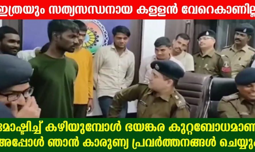 കള്ളന്മാർക്കിടയിൽ ഒരു സത്യസന്ധനായ കള്ളൻ. ഈ കള്ളന്റെ സത്യസന്ധത കണ്ടാൽ നിങ്ങളും കൈയ്യടിച്ചു പോകും.