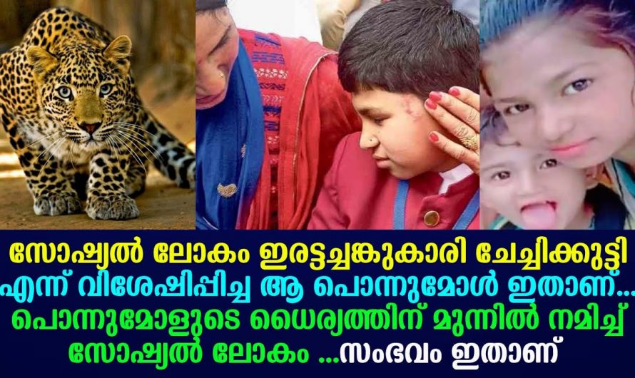 പുലിയുടെ ആക്രമണത്തിൽ നിന്നും അനുജനെ രക്ഷിക്കാൻ സ്വന്തം ജീവൻ പണയം വെച്ച് ചേച്ചി.