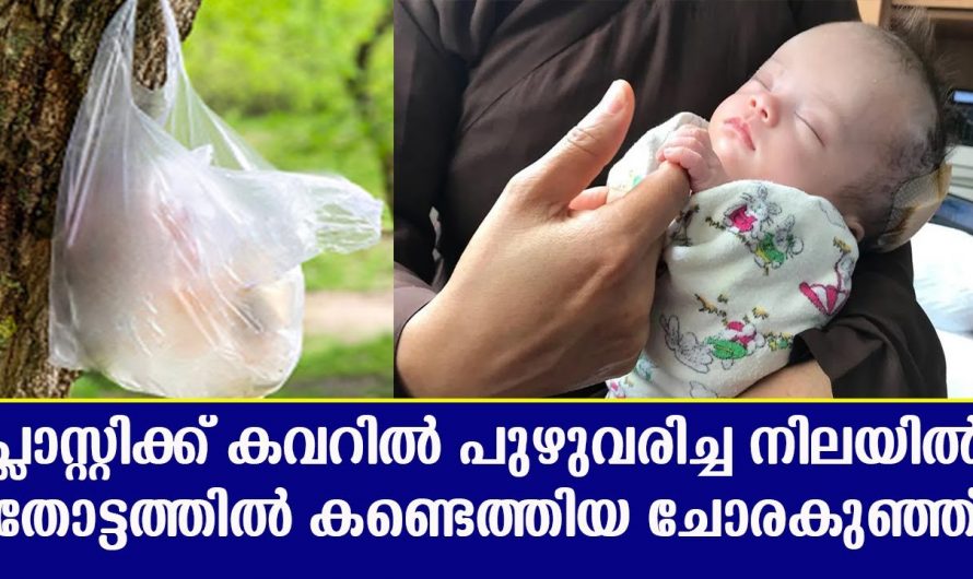 പ്ലാസ്റ്റിക്‌ കവറിൽ അമ്മ ഉപേക്ഷിച്ചു പോയ കുഞ്ഞ്. അപ്രതീക്ഷിതമായി കുഞ്ഞ് രക്ഷപ്പെട്ടത് എങ്ങനെയാണെന്ന് നോക്കൂ.