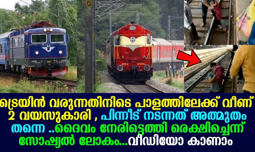 ഇതുപോലെ നെഞ്ചിടിപ്പോടെ കണ്ട വീഡിയോ വേറെ ഉണ്ടാവില്ല. ശ്വാസമടക്കിപ്പിടിച്ചേ വീഡിയോ കാണാനാകൂ.