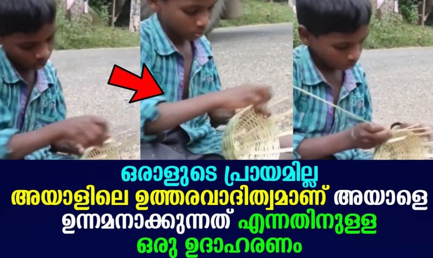 നീ ചെറിയ പ്രായത്തിലും ഉത്തരവാദിത്വത്തോടെ തന്റെ കുടുംബത്തെ പോറ്റുന്ന കുരുന്നിനെ കണ്ടോ.