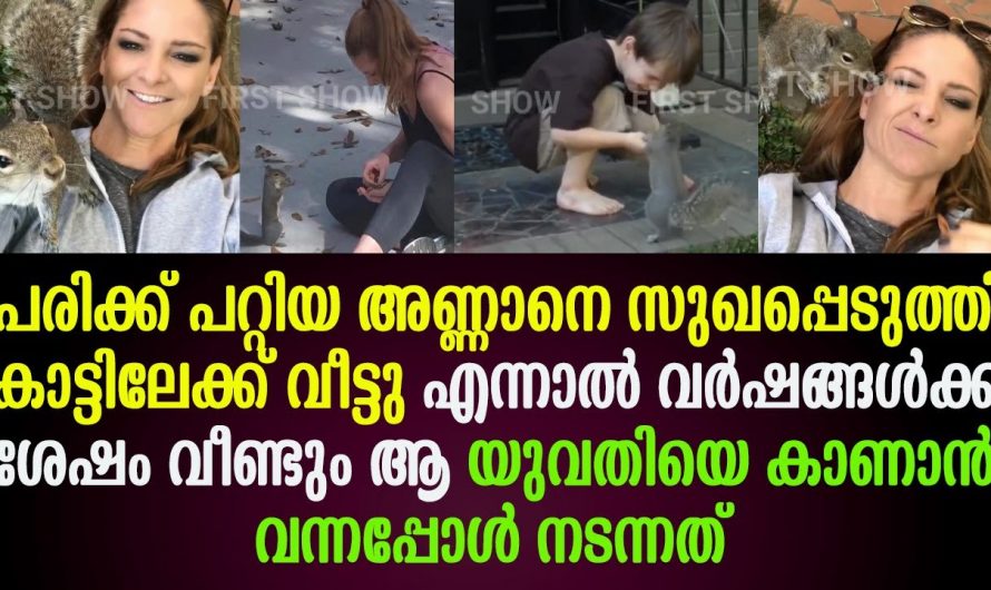 ഒരിക്കൽ തന്റെ ജീവൻ രക്ഷിച്ച യുവതിയുടെ അടുത്തേക്ക് കാലങ്ങൾക്ക് ശേഷം ഓടിവന്ന് അണ്ണാൻ. ശേഷം സംഭവിച്ചത് കണ്ടോ.