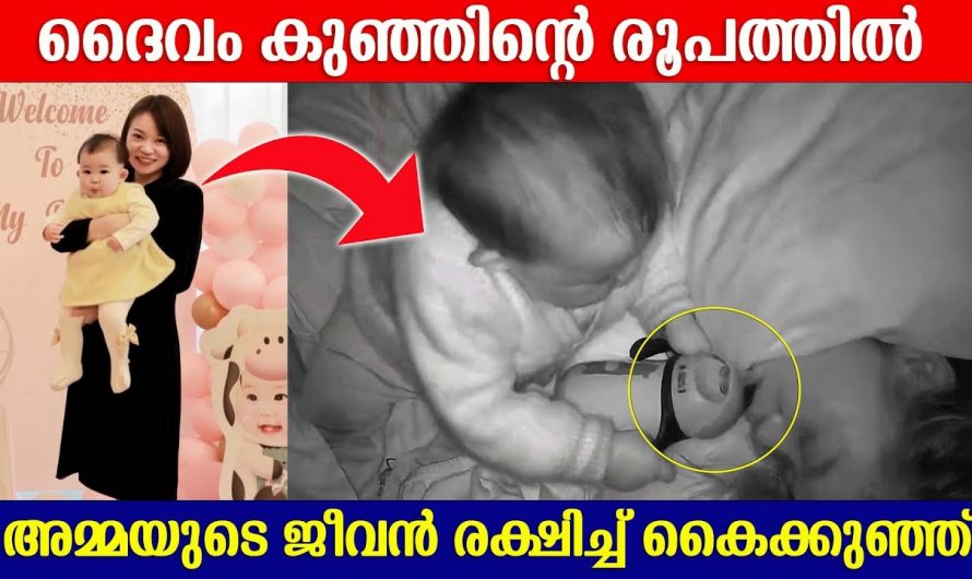 തളർന്നുകിടക്കുന്ന അമ്മയുടെ ജീവൻ രക്ഷിച്ച കൈക്കുഞ്ഞ്. ഈ ദൃശ്യങ്ങൾ കണ്ടാൽ ആ കുഞ്ഞിനെ ആർക്കും ഒന്ന് വാരിയെടുക്കാൻ തോന്നും.