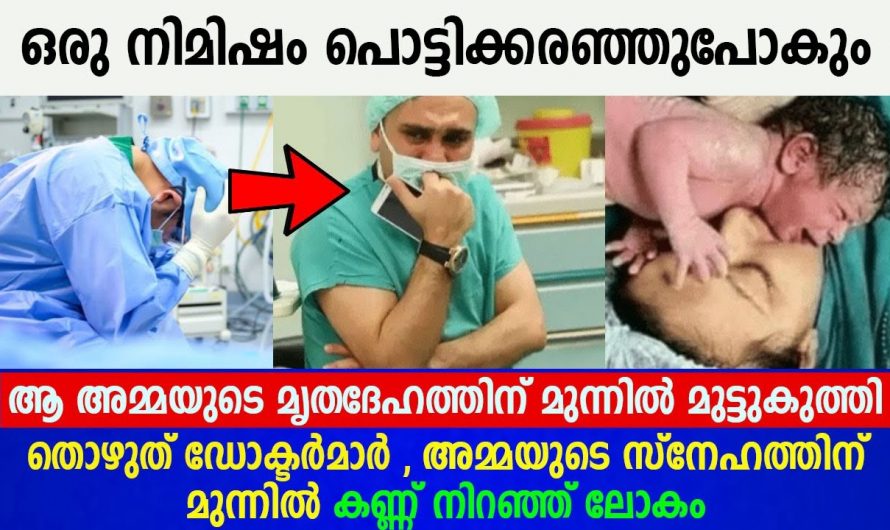 അമ്മയെ ഒരുപാട് സ്നേഹിക്കുന്നവർക്ക് കണ്ണ് നിറയാതെ ഇത് കാണാൻ സാധിക്കില്ല. അമ്മയുടെ സ്നേഹം വിലമതിക്കാനാവാത്തതാണ്.