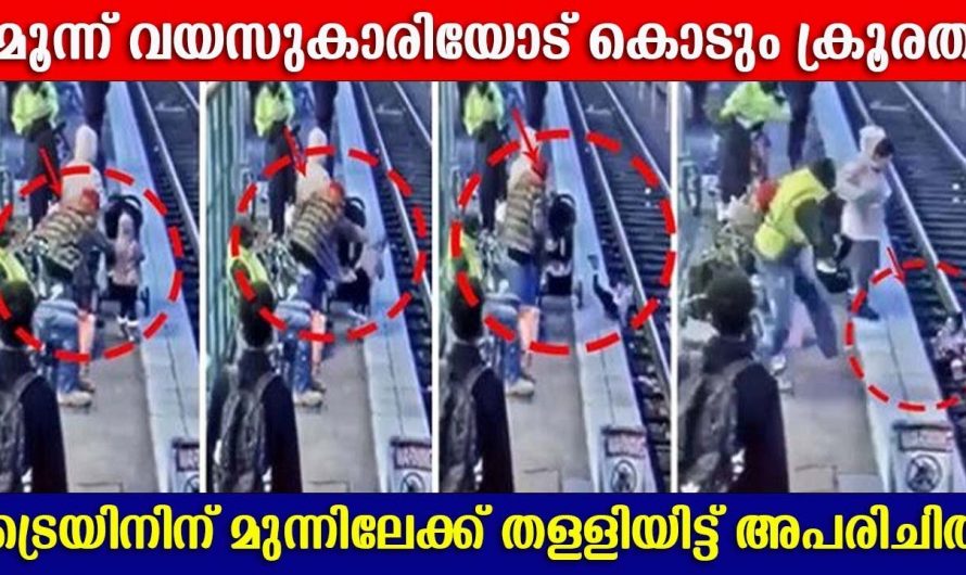 ട്രെയിനിനു മുന്നിലേക്ക് മൂന്നു വയസ്സുകാരിയെ തള്ളിയിട്ട് അപരിചിതയുടെ ക്രൂരത.