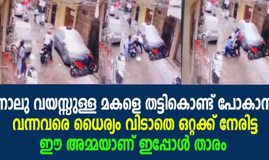 നാലു വയസ്സുള്ള മകളെ തട്ടിക്കൊണ്ടു പോകാൻ ശ്രമിച്ചവരെ എതിർത്തു തോൽപ്പിച്ച അമ്മയാണ് ഇപ്പോൾ താരം.