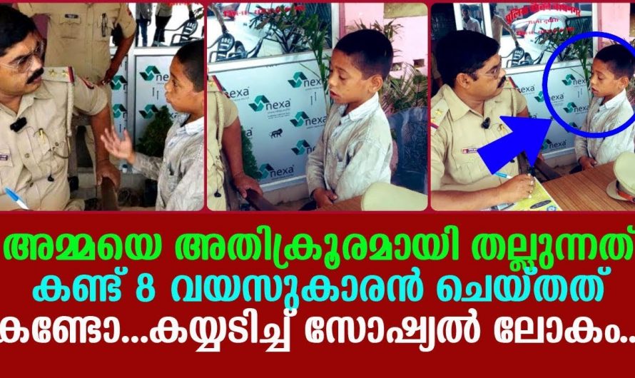 അമ്മയെ അതിക്രൂരമായി തല്ലുന്നത് കണ്ടു സഹിക്കാനാവാതെ എട്ടു വയസ്സുകാരൻ ചെയ്തത് കണ്ടോ. ആരും കൈയ്യടിച്ചു പോകും.