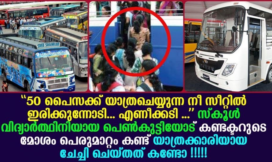 സ്കൂൾ വിദ്യാർത്ഥിയോട് മോശമായി പെരുമാറിയ കണ്ടക്ടർക്ക് യാത്രക്കാരിൽ ഒരാളായ സ്ത്രീ നൽകിയ മറുപടി കേട്ടോ.