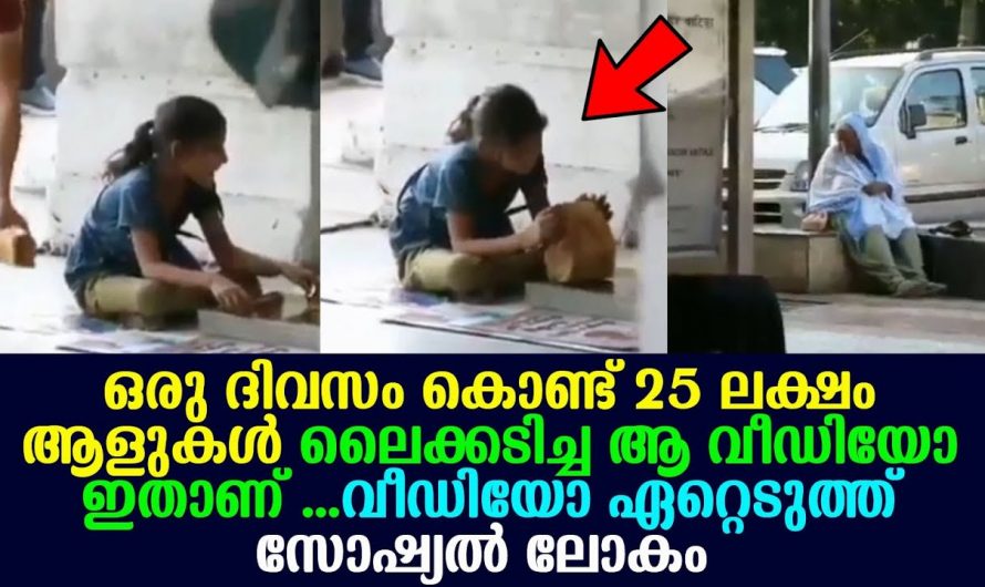 ഇതുപോലെ നന്മയുള്ളവരാണ് സമൂഹത്തിന് ആവശ്യം. ഈ വ്യക്തിയുടെ പ്രവർത്തി നമുക്കെല്ലാം ഒരു പ്രചോദനമാണ്.