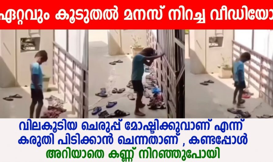 അവൻ പഠിക്കുന്നത് വലിയ സ്കൂളിൽ ഒന്നുമല്ല എന്നാൽ അവന്റെ അത്രയും സാമൂഹിക മര്യാദ നമ്മൾക്ക് ഇല്ലാതെ പോയല്ലോ.