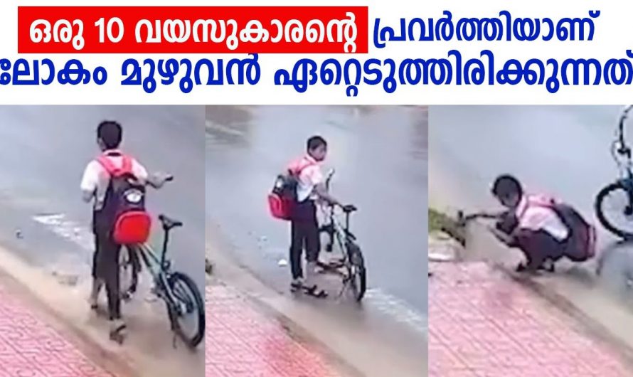 ഈ കുഞ്ഞിന്റെ നല്ല മനസ്സിന് കൂടെയാണ് ഇപ്പോൾ എല്ലാവരും. സ്വന്തം കാര്യം മാത്രം നോക്കി നടക്കുന്നവർ ഇതൊക്കെ ഒന്ന് കാണണം.