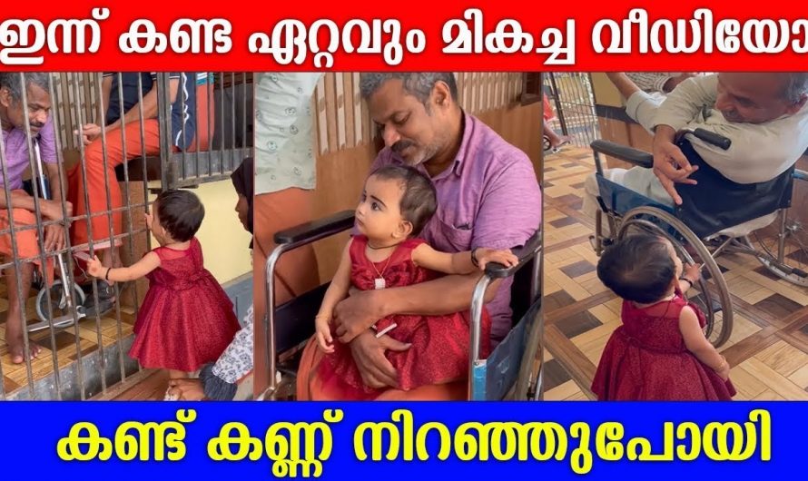 കുഞ്ഞിന്റെ ജീവിതത്തിലെ ആദ്യ പിറന്നാൾ തന്നെ ജീവിതം സഫലമായി. പിറന്നാൾ ആഘോഷം നിങ്ങളും കണ്ടു നോക്കൂ.