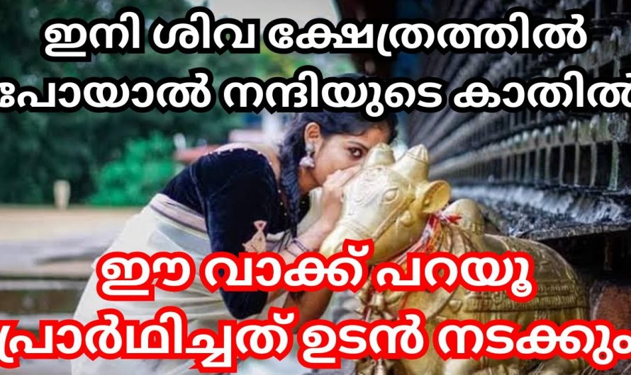 ശിവക്ഷേത്രത്തിൽ പോകുമ്പോൾ നന്ദിയുടെ കാതിൽ ഈ വാക്കു പറഞ്ഞു പ്രാർത്ഥിക്കൂ ഉടൻ ഫലം കിട്ടും.