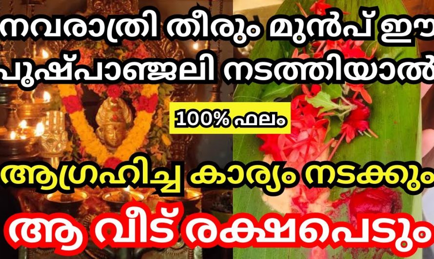 നവരാത്രി തീരും മുൻപേ ഈ പുഷ്പാഞ്ജലി നടത്തിയാൽ നിങ്ങൾ ആഗ്രഹിച്ച കാര്യം നടന്നിരിക്കും.