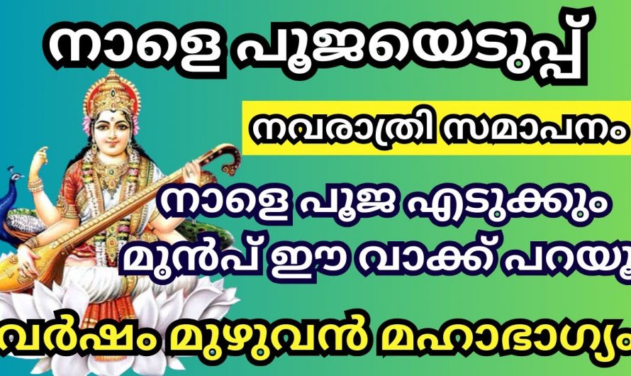 പൂജ എടുത്തതിനുശേഷം വീട്ടിൽ വിളക്ക് വെച്ച് ഈ വാക്ക് പറയൂ വർഷം മുഴുവൻ മഹാഭാഗ്യം നിങ്ങളെ തേടിയെത്തും.