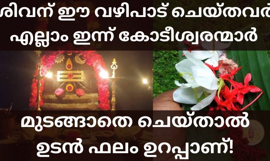 ശിവഭഗവാനെ ഈ വഴിപാട് ചെയ്തവരെല്ലാം തന്നെ ഇന്ന് കോടീശ്വരന്മാർ. നിങ്ങളും ഈ വഴിപാട് ചെയ്തു നോക്കൂ.