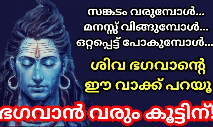 മനസ്സ് വേദനിക്കുമ്പോൾ ഒറ്റയ്ക്കായി എന്ന് തോന്നുമ്പോൾ ശിവഭഗവാന്റെ ഈ വാക്കു പറയൂ. ഭഗവാൻ കൂടെയുണ്ടാകും.