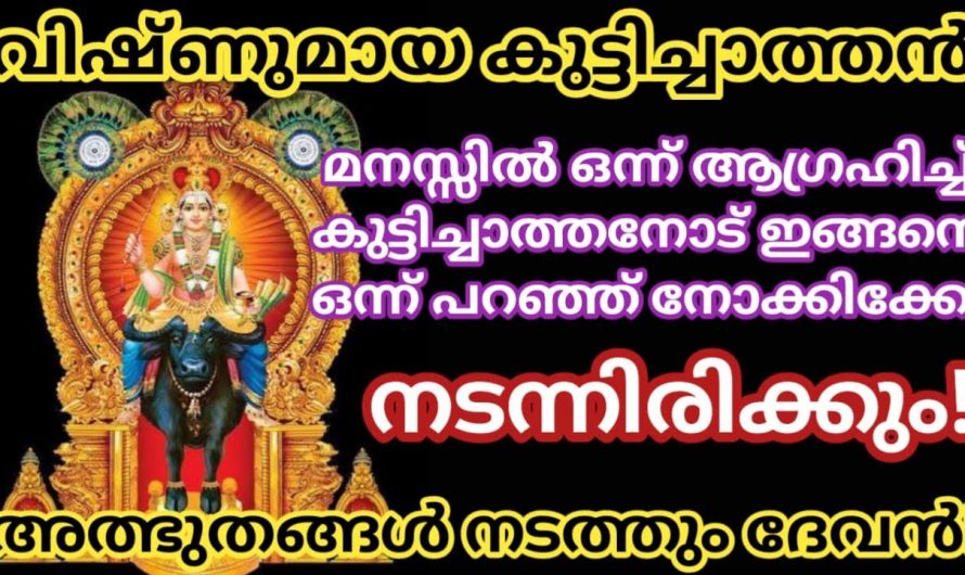 ആഗ്രഹസാഫല്യത്തിനും ജീവിതത്തിൽ അത്ഭുതങ്ങൾ നടക്കുവാനും വിഷ്ണുമായ സ്വാമിയെ ഇതുപോലെ പ്രാർത്ഥിച്ചു നോക്കൂ.