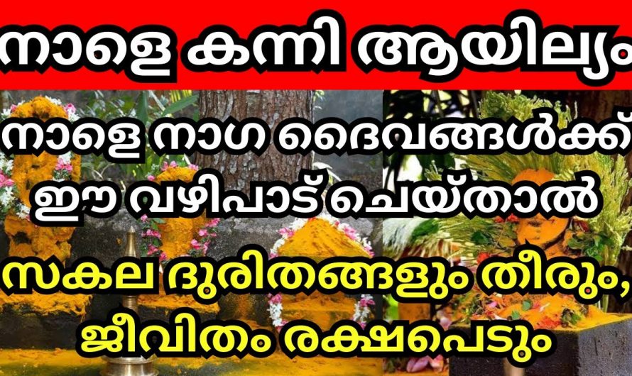 ഇന്ന് കന്നി ആയില്യം. നാഗ ദൈവങ്ങൾക്ക് ഈ വഴിപാടുകൾ ചെയ്യൂ ജീവിതം രക്ഷപ്പെടും.