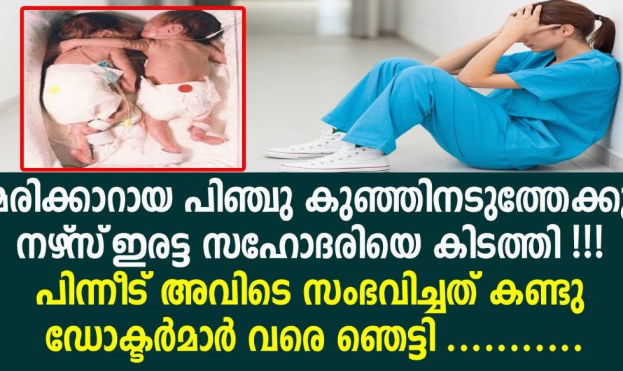 മരിക്കാൻ ആയ ഇരട്ട സഹോദരിയെ ചേർത്തു പിടിക്കലിലൂടെ ജീവിതത്തിലേക്ക് കൊണ്ടുവന്ന അത്ഭുത കഥ. ഇത് കേട്ടാൽ നിങ്ങൾ ഞെട്ടും.