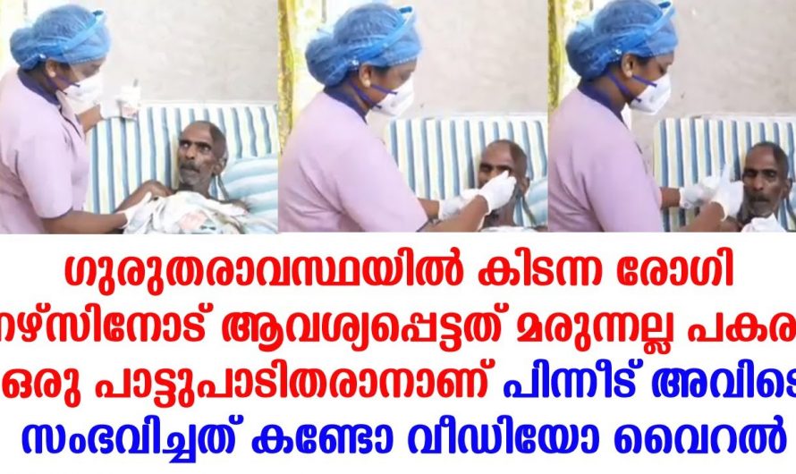 നിങ്ങൾ മാലാഖയെ കണ്ടിട്ടുണ്ടോ ഗുരുതരാവസ്ഥയിൽ കിടക്കുന്ന രോഗിക്ക് വേണ്ടി ഈ നേഴ്സ് ചെയ്ത കാര്യങ്ങൾ കണ്ടോ ആരും കയ്യടിച്ചു പോകും.