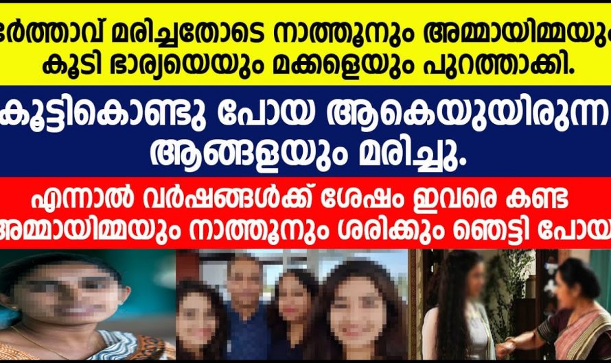 ഭർത്താവിന്റെ മരണശേഷം വീട്ടുകാരെല്ലാവരും അമ്മയെയും മക്കളെയും വീട്ടിൽ നിന്നും പറഞ്ഞയച്ചപ്പോൾ അവരെ രക്ഷിക്കാൻ വന്ന ആളെ കണ്ടോ.