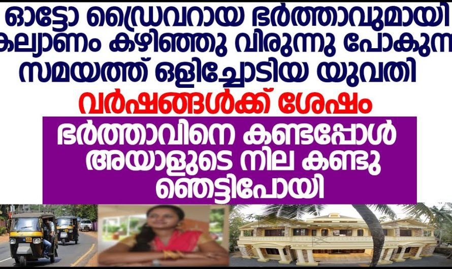 ഓട്ടോ ഡ്രൈവർ ആയതുകൊണ്ട് ഭർത്താവിനെ ഉപേക്ഷിച്ചു പോയ ഭാര്യ വർഷങ്ങൾക്ക് ശേഷം അയാളെ കണ്ടപ്പോൾ.