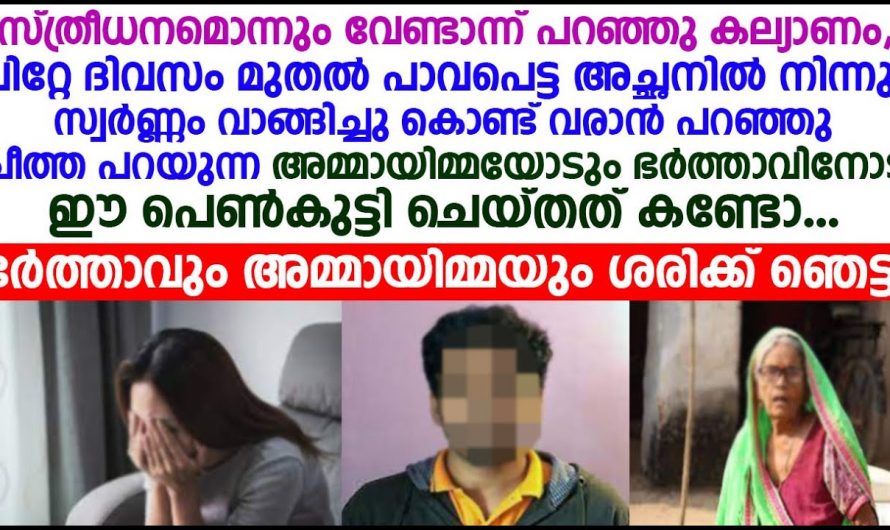 സ്ത്രീധനം വേണ്ടെന്ന് പറഞ്ഞ് കല്യാണം കഴിച്ചു. പിന്നീട് ആ വീട്ടിൽ പെൺകുട്ടിക്ക് അനുഭവിക്കേണ്ടി വന്നത് കണ്ടോ.