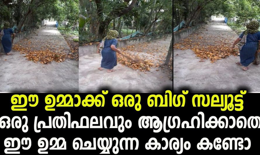 ഇത് കണ്ടാൽ ആരായാലും ഉമ്മാക്ക് ഒരു ബിഗ് സല്യൂട്ട് നൽകും. ഉമ്മ ചെയ്യുന്ന കാര്യം കണ്ടോ.