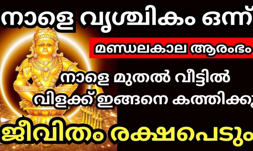 വൃശ്ചികം ഒന്ന്. വീട്ടിൽ നിലവിളക്ക് ഇതുപോലെ കത്തിക്കൂ സമ്പത്ത് കുതിച്ചുയരും.