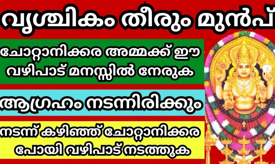 വൃശ്ചികം തീരും മുൻപ് ചോറ്റാനിക്കര അമ്മയ്ക്ക് മനസ്സിൽ ഈ വഴിപാട് നേരു. നടന്നാൽ മറക്കാതെ ചെയ്യണേ.