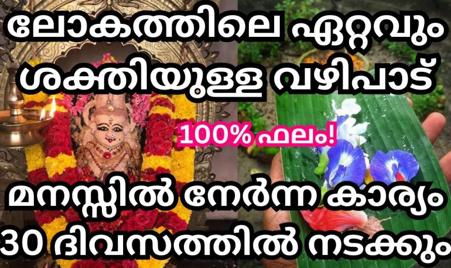 ലോകത്തിലെ ഏറ്റവും ശക്തിയുള്ള വഴിപാട്. ഏത് ആഗ്രഹമാണെങ്കിലും 30 ദിവസത്തിനുള്ളിൽ നടക്കും.