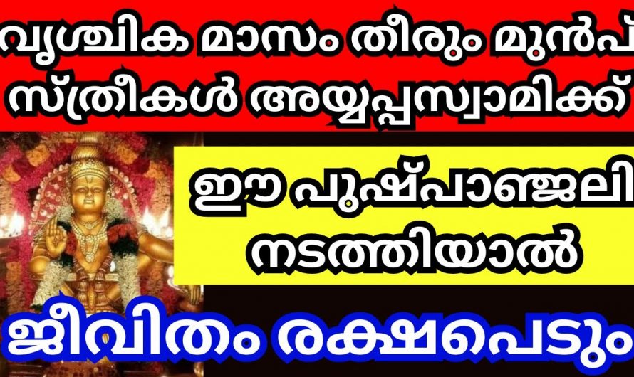 വൃശ്ചികമാസം തീരും മുൻപ് അയ്യപ്പസ്വാമിക്ക് സ്ത്രീകൾ ഈ വഴിപാട് നൽകൂ മഹാഭാഗ്യം ഉണ്ടാകും.