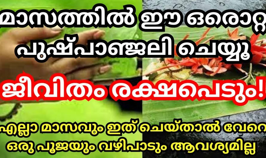 ഒരുതവണ ഈ വഴിപാട് ചെയ്താൽ മതി പിന്നെ വേറെ വഴിപാട് ഒന്നും ചെയ്യേണ്ട ജീവിതം ഇതോടെ രക്ഷപ്പെടും.