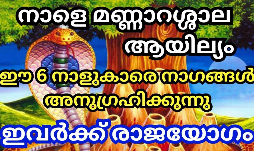 മണ്ണാറശാല ആയില്യം നാഗ ദൈവങ്ങളുടെ അനുഗ്രഹം ഈ ആറ് നാളുകാർക്ക് വന്നുചേരുന്നു.