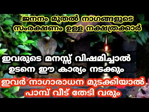 ജനനം മുതൽ നാഗങ്ങളുടെ സംരക്ഷണം ലഭിച്ച നക്ഷത്രക്കാർ. ഇവർ ഭാഗ്യവാന്മാർ