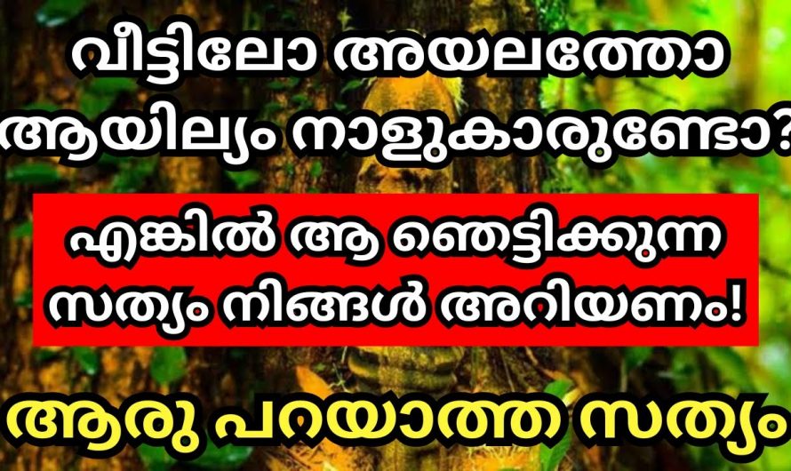 നിങ്ങളുടെ വീട്ടിലോ പരിസരത്തോ ആയില്യം നക്ഷത്രക്കാർ ഉണ്ടോ. എങ്കിൽ സൂക്ഷിക്കണേ ഇതാണ് കാര്യം.