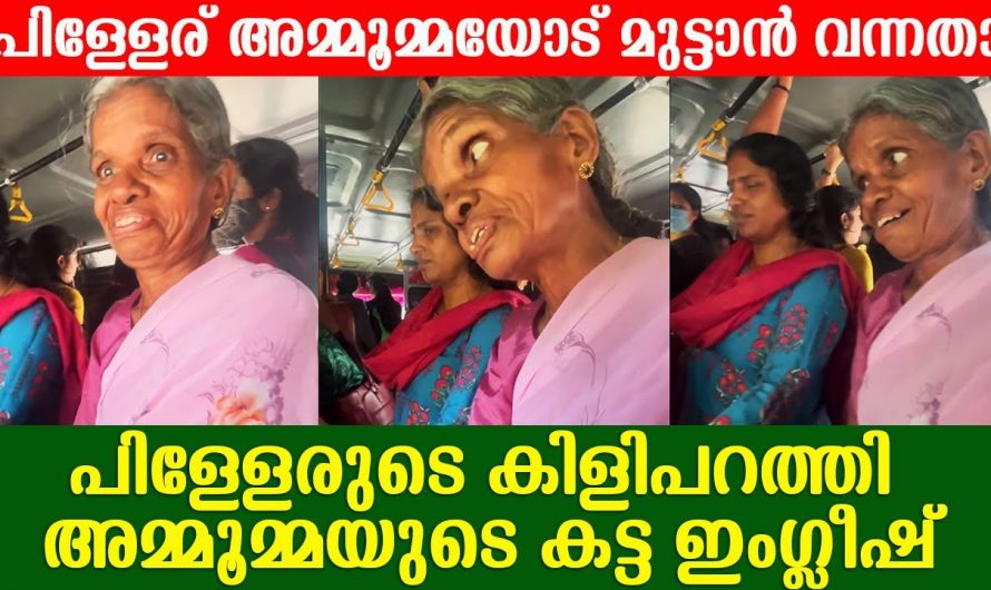 മുട്ടാൻ വന്ന പിള്ളേര് ഓർത്തില്ല അമ്മൂമ്മ അവരെക്കാൾ കൂടുതൽ ഓണം ഉണ്ടതാണെന്ന്.