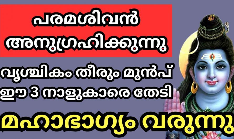 വൃശ്ചികം തീരും മുൻപ് ഈ മൂന്ന് നാളുകാരെ തേടി മഹാഭാഗ്യം വരുന്നു.