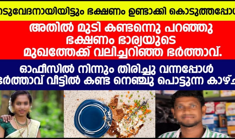 എന്തൊക്കെ ചെയ്തിട്ടും ഭാര്യയോട് ദേഷ്യം മാത്രം കാണിച്ച ഭർത്താവ് ഒടുവിൽ ഭാര്യ പോയപ്പോൾ സംഭവിച്ചത് കണ്ടോ