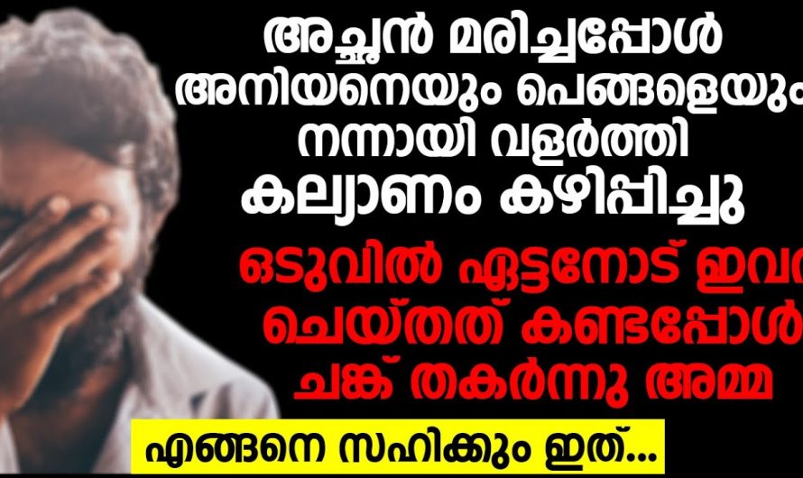 അച്ഛന്റെ മരണശേഷം അനിയന്റെയും അനിയത്തിയുടെയും എല്ലാ കാര്യങ്ങളും നോക്കിയ ചേട്ടനെ തിരിച്ച് അവർ കൊടുത്തത് കണ്ടോ.