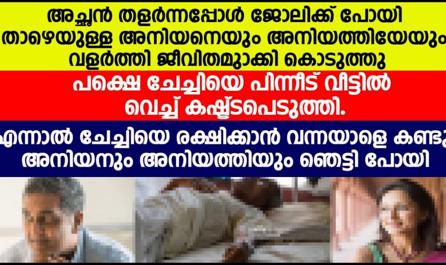 എല്ലാ ഉത്തരവാദിത്വങ്ങളും ഏറ്റെടുത്ത ചേച്ചി. ചേച്ചിയെ രക്ഷിക്കാനായി വന്ന വ്യക്തിയെ കണ്ടോ.